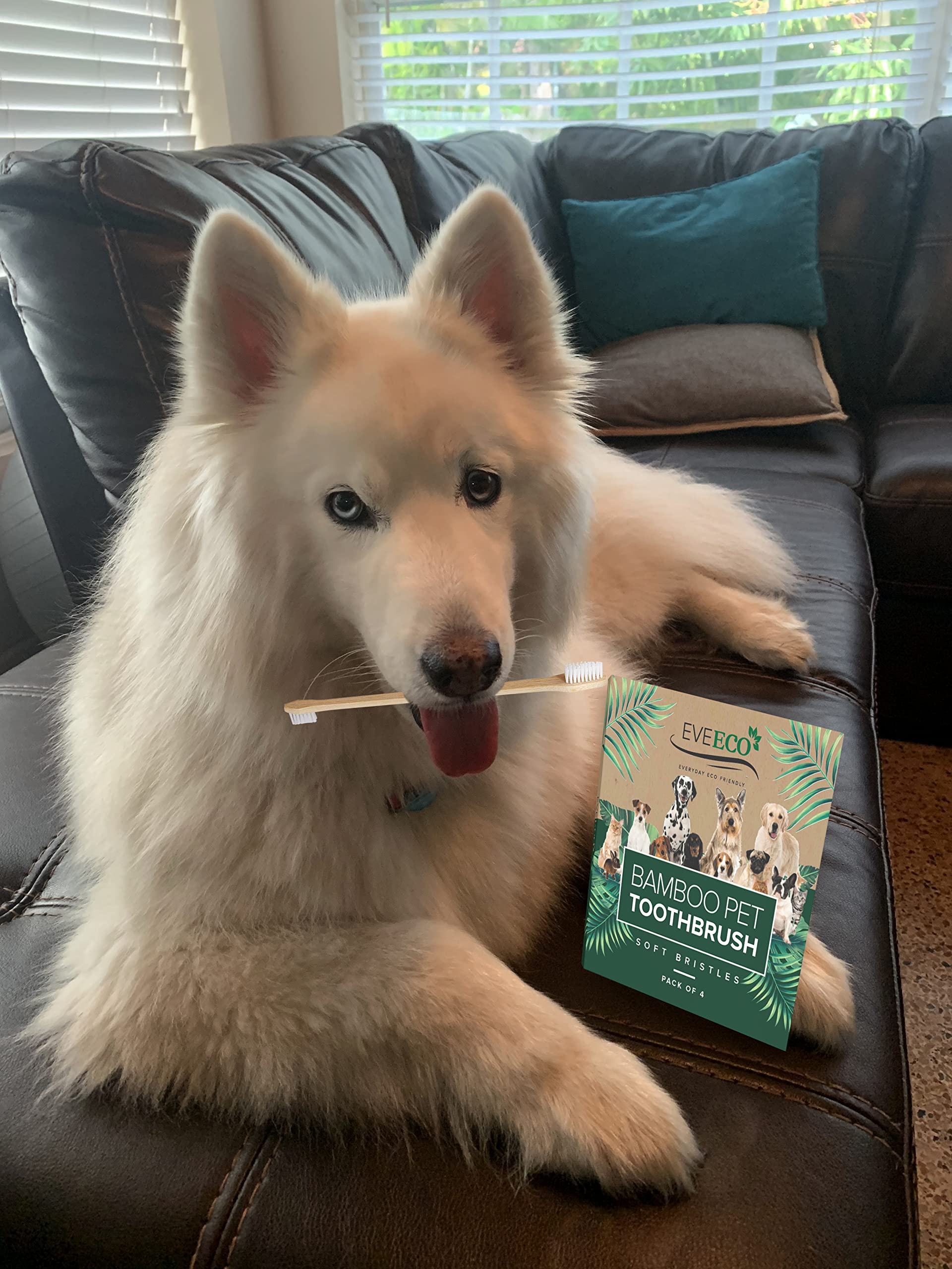 Paquete de 4 cepillos de dientes de bambú para perros y mascotas, 2 cabezales de cepillo grandes y pequeños con extra largo de 8.5 pulgadas, uso con pasta de dientes para eliminar caries, mal