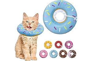 Donut Cone for Kittens