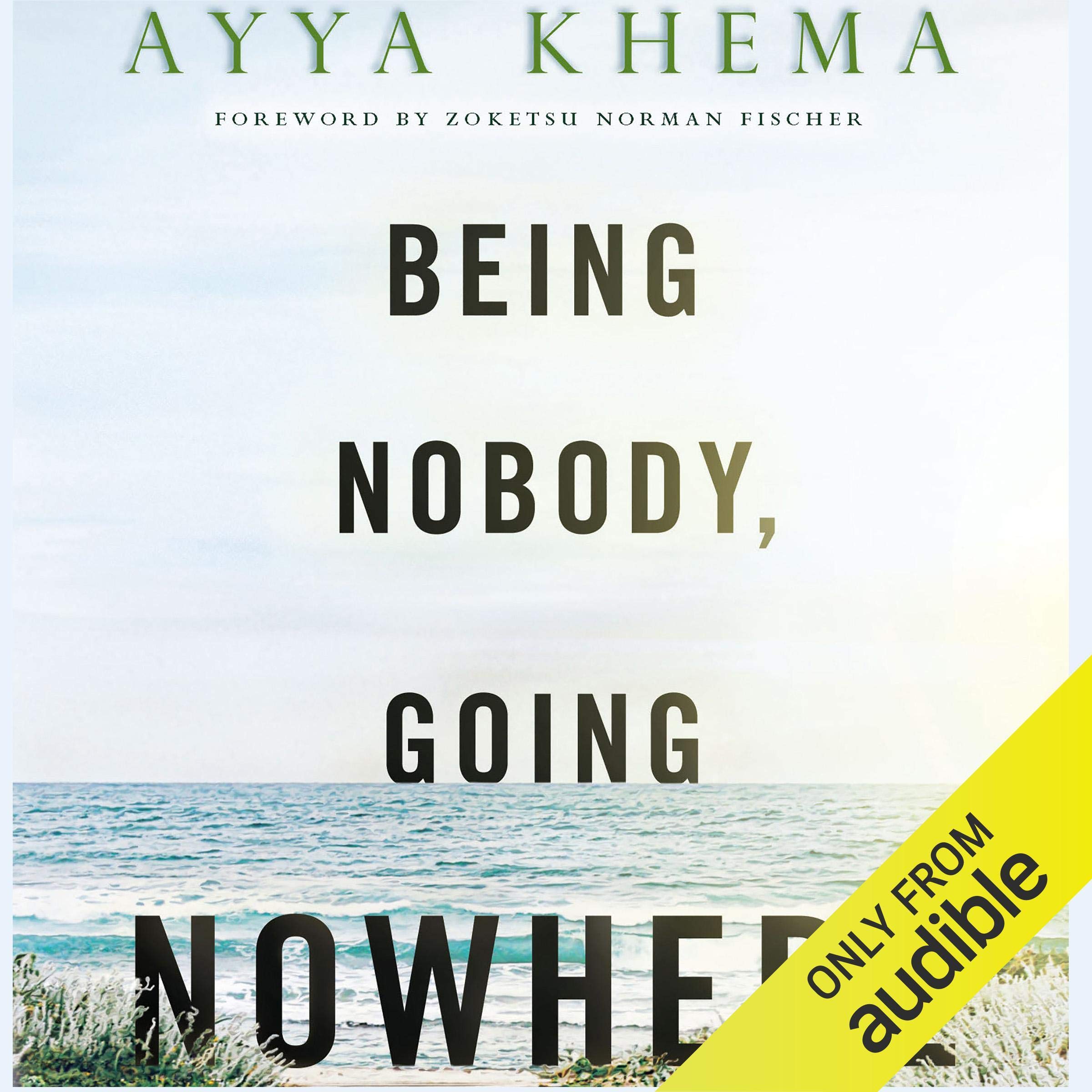 Cover art for Being Nobody Going Nowhere