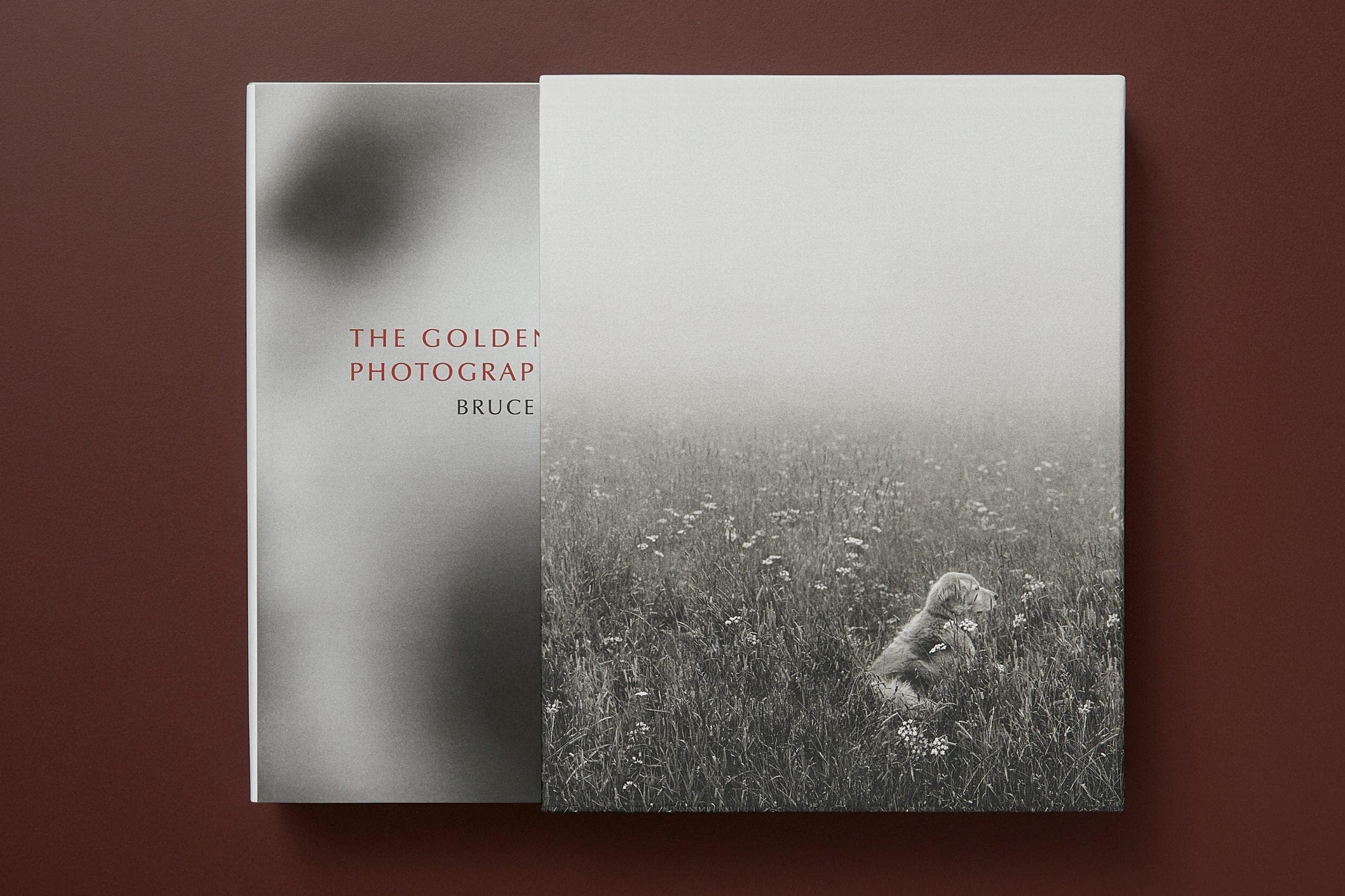 Bruce Weber: The Golden Retriever Photographic Society
