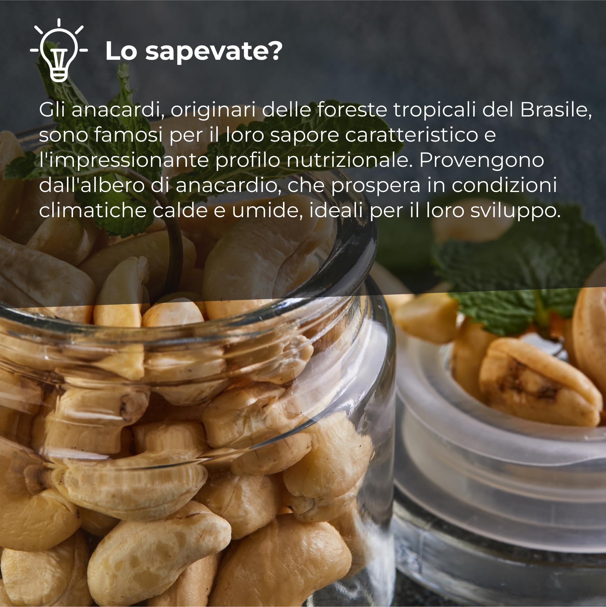 Anacardi Tostati Salati Sgusciati [1 Kg] Frutta Secca Di Prima Scelta, Gustosa, Croccante, Buonissima, Con Sale. Tostate, Sgusciate E Pelate Con Sacchetto Richiudibile Qualità Premium, Dorimed