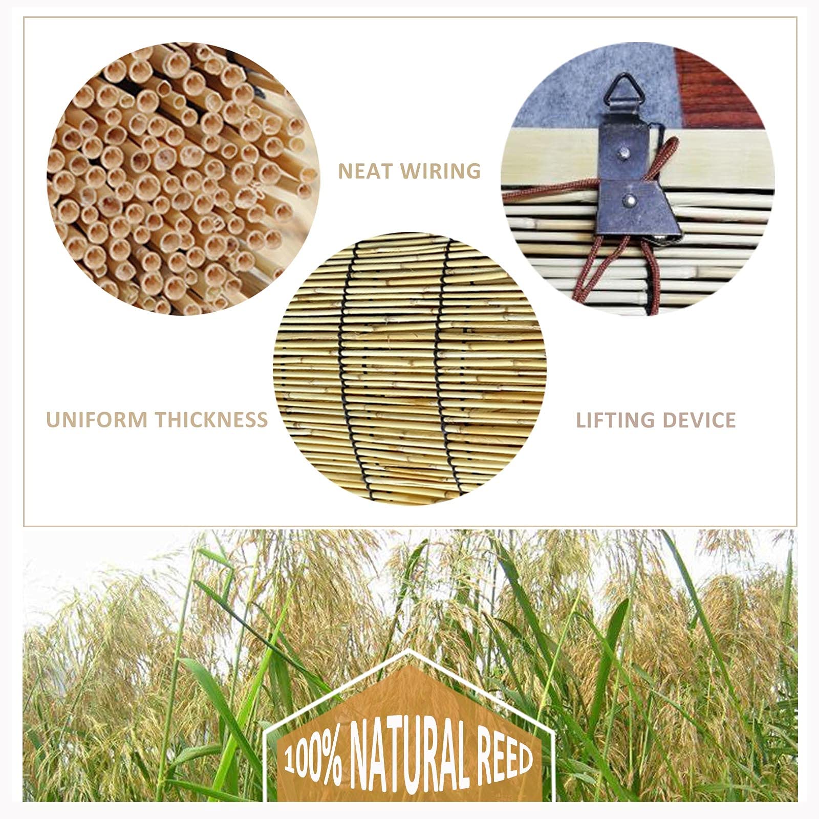 Store Enrouleur en Bambou Naturel,utilisés pour Fenêtres,Rideau De Roseau Extérieur,Stores Romains,Pare-Soleil,Largeur 90cm 150cm,Isolation Thermique,Store À Rouleau,W×H-135x260cm/53x102in