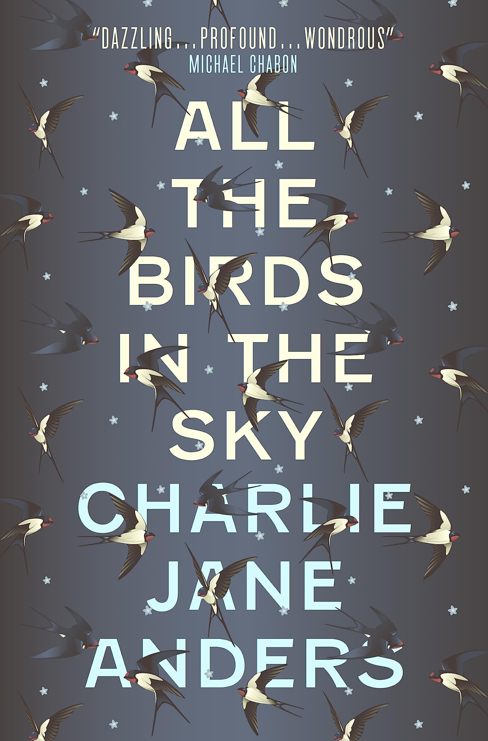 All the Birds in the Sky by Charlie Jane Anders PAPERBACK 9781785650550