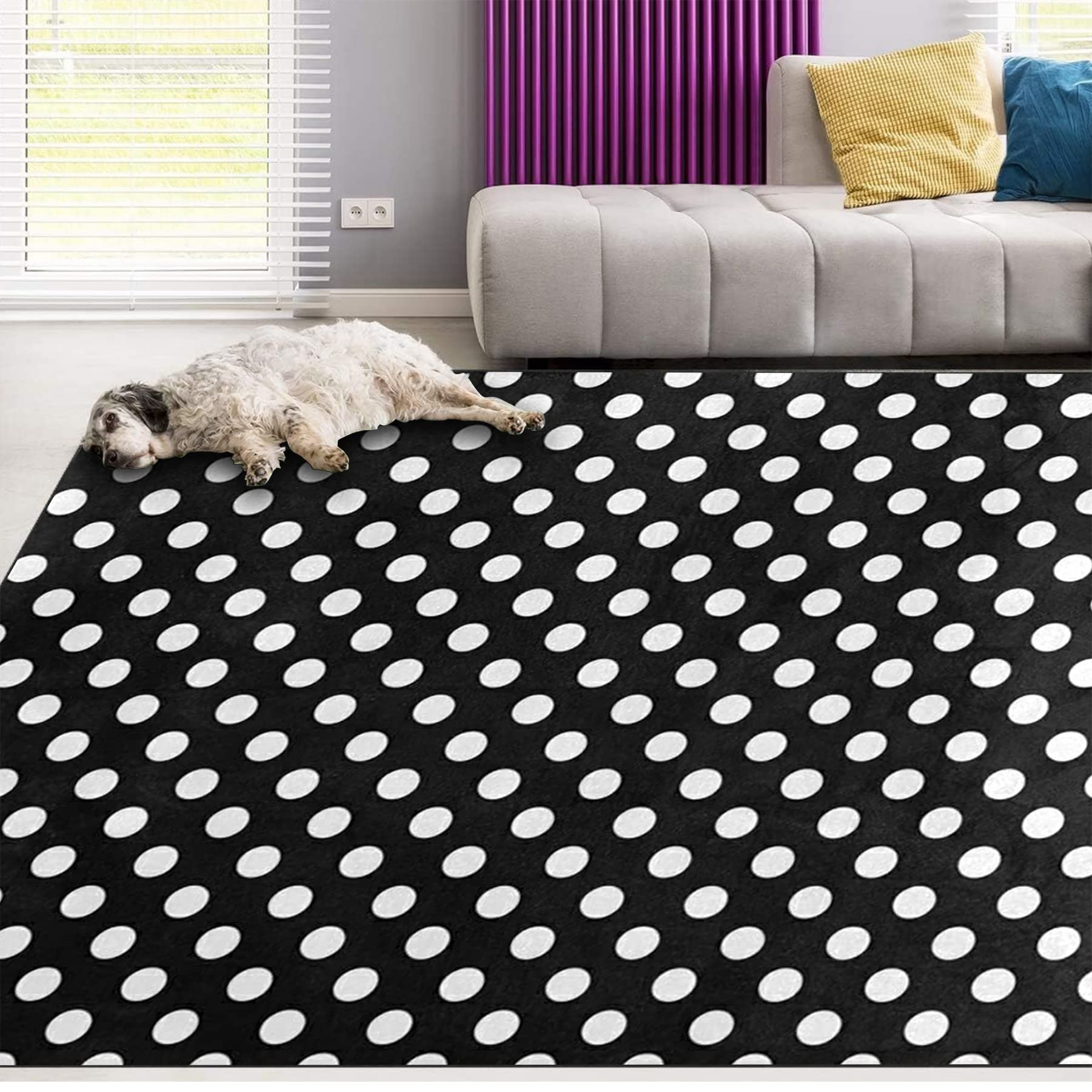 Amazon.com: Oueoty White Black Polka Dot Area Rug Rugs for