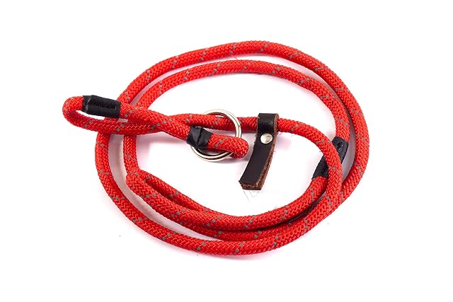 Foto 2 de 3 de Gee Tac Figura de ocho correa para perro de alta visibilidad, color rojo