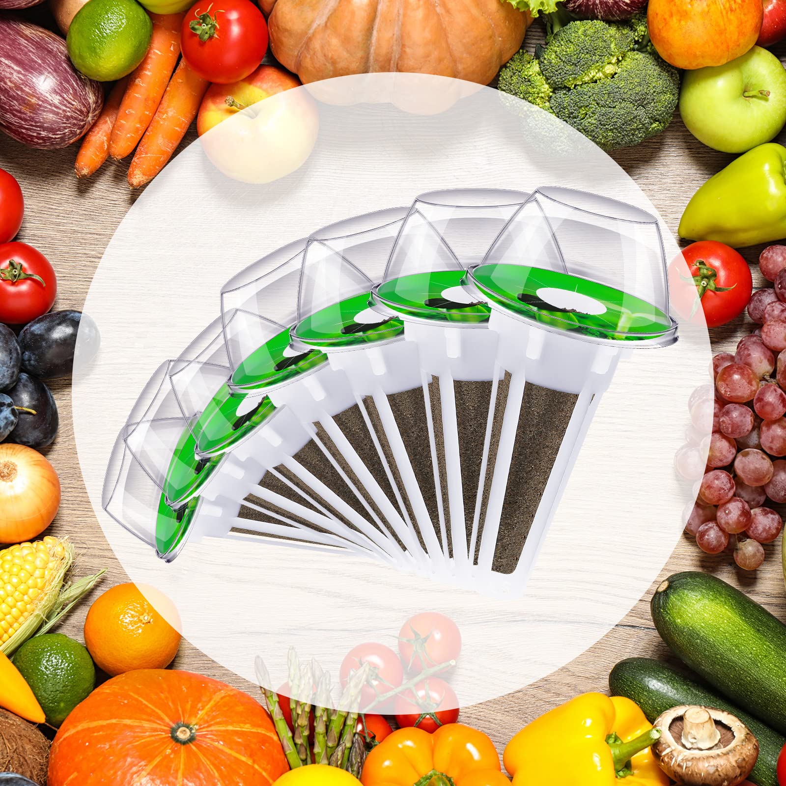 Buy Hydroponic Garden Accessories Plant Pod Kit Including 30 Pieces