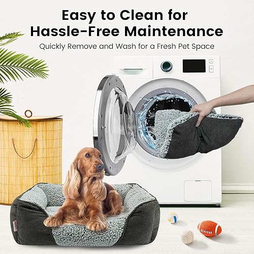 Miniatura 2 de Miguel Cama lavable con cojín extraíble para perros medianos y pequeños, fácil de lavar, sofá cama para mascotas con lado, cama rectangular para