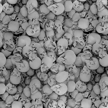 Hydrographic Film Hydro Dipping Dip Water Tansfer Skull Print 13-19"x48"