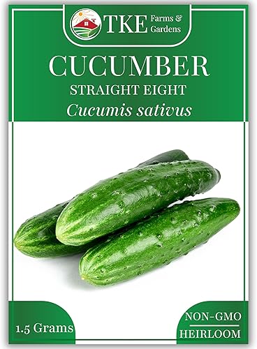 TKE Farms & Gardens - Semillas de pepino, 8 rectas, 55 semillas de pepino sin OMG, ideales para rebanar, ensaladas y encurtidos crujientes, incluye