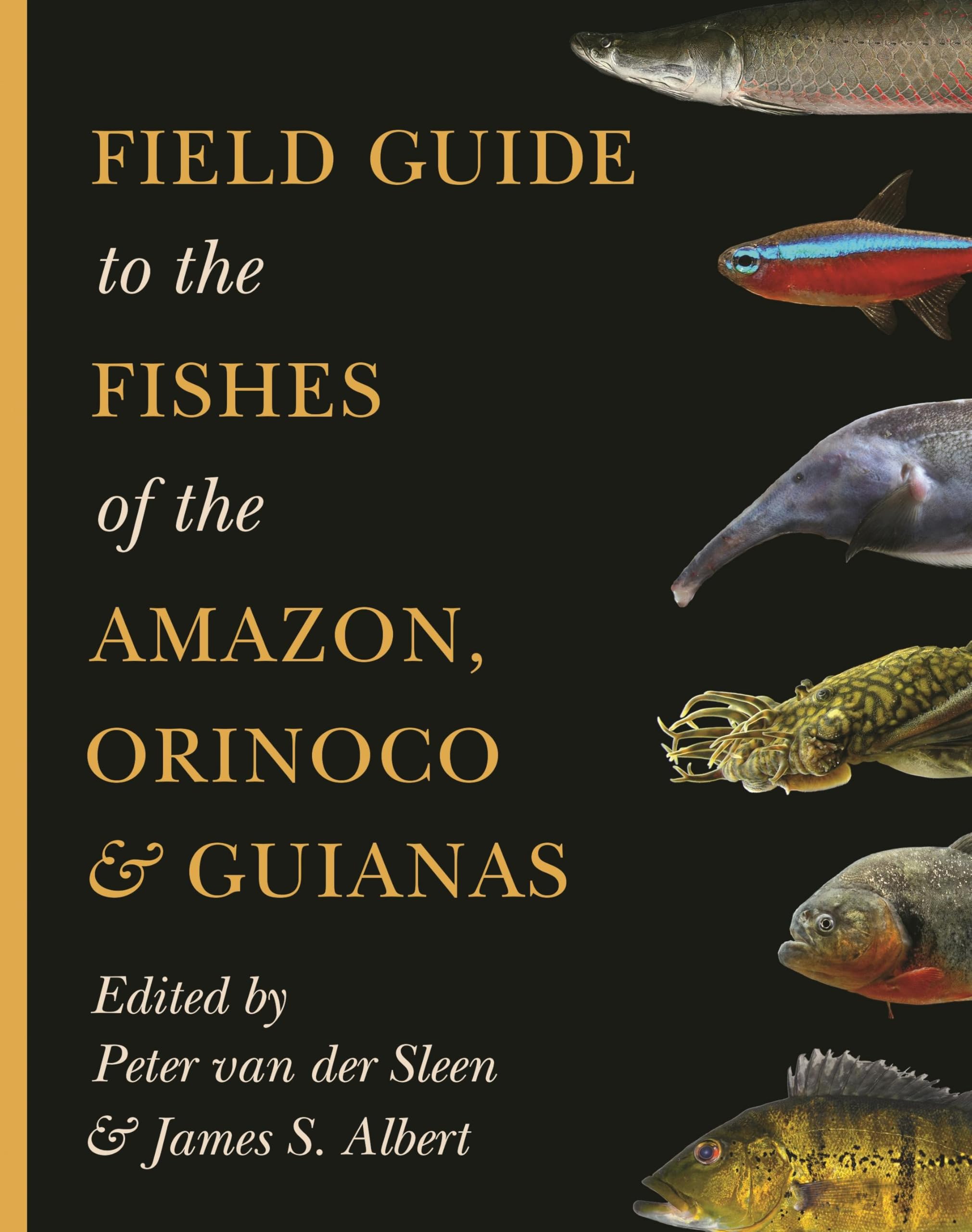 Field Guide to the Fishes of the Amazon  by Peter Van Der Sleen PAPERBACK