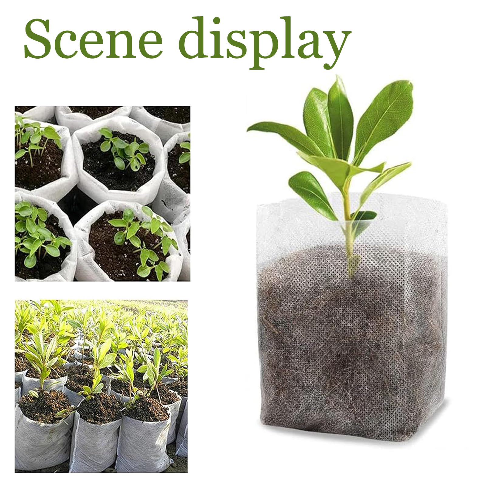 200 sacs semilleros biodégradables, Space Bolsas biodegradables no Tejidas para viveros, Bolsas de Vivero Biodegradables, para Plantas de Semillero Plantación Trasplante, 14 x 16 cm