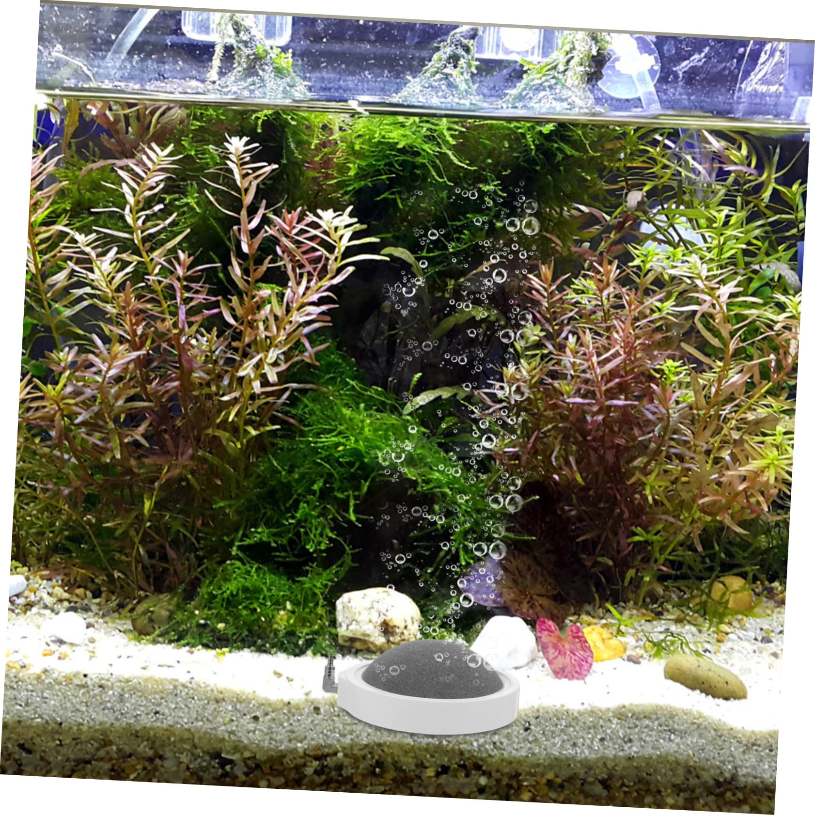 BESPORTBLE 2Pcs Akwaria Napowietrzająca Płyta Napowietrzająca Mała Bąbelk Kamień Aquarium Aquarium Air Bubbler Kamień Bąberzy Bąberek Akwarium Bubble Codziennie