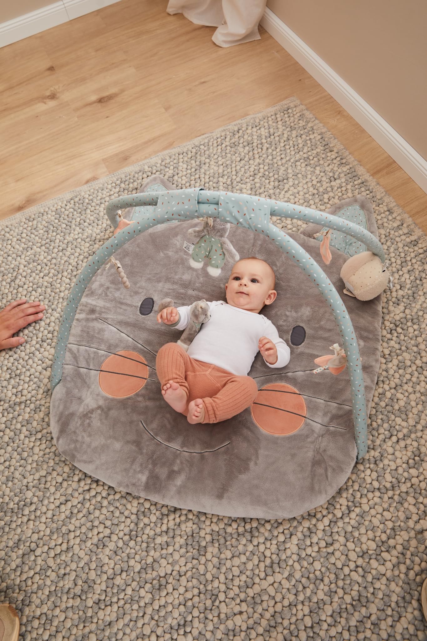 Sterntaler Spielbogen Katze Lilly - Spielbogen aus weichem Flausch und bedrucktem Baumwoll Mischgewebe - Baby Spieldecke mit Bogen und Spielfiguren zum Abnehmen - Baby Spielzeug, steingrün