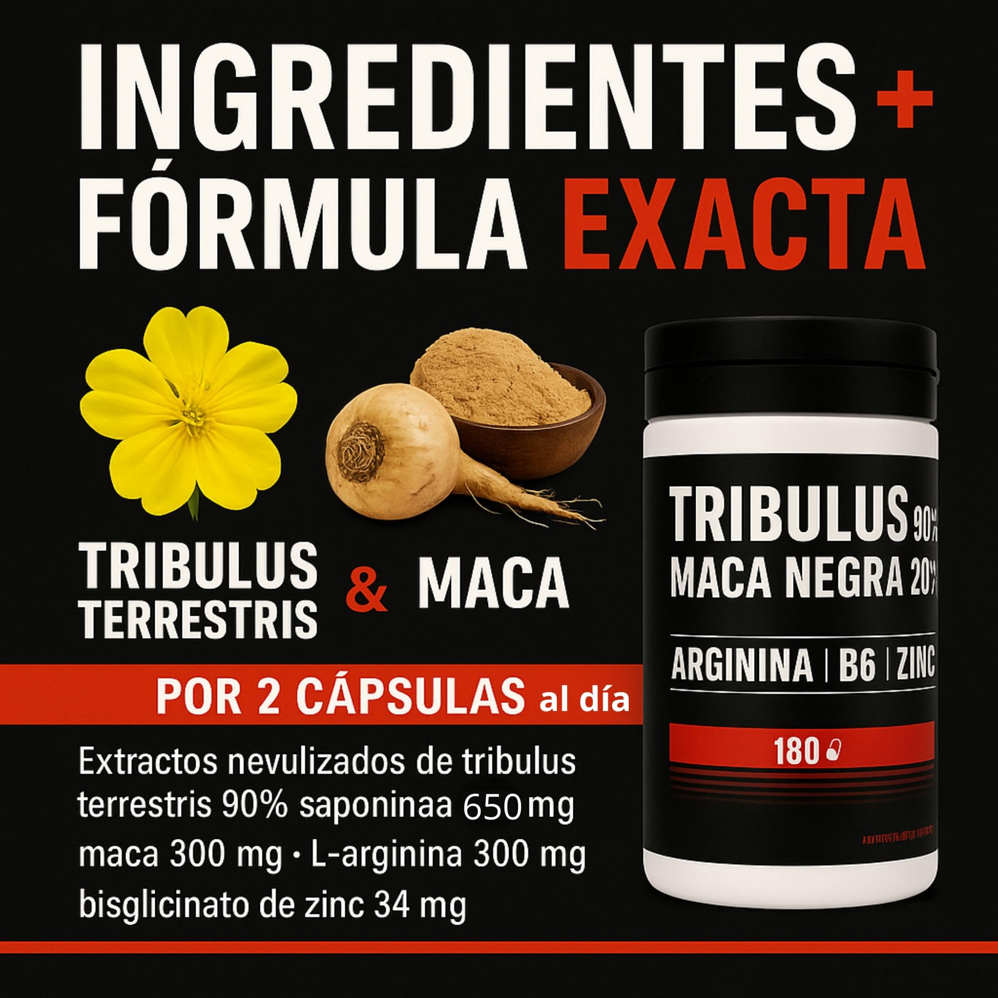 EUROPEA tribulus terrestris 180 Cáp - 90% tribulus maca testosterona - Con maca pura 20:1 Arginina B6 Zinc - Mejora la fuerza y resitencia - FABRICADO EN ESPAÑA