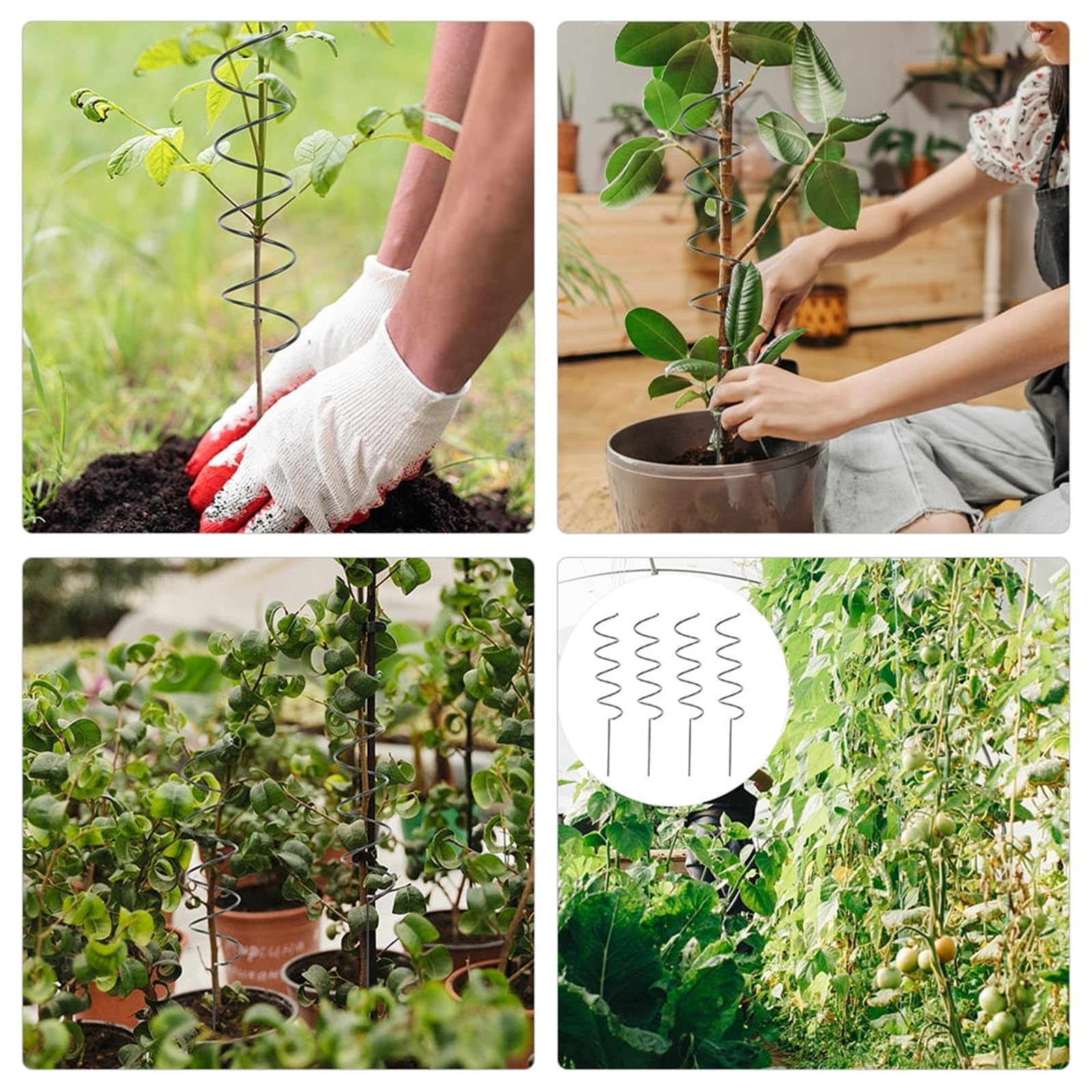 Tuteurs de plantes, tuteur torsadé for tomates, tuteur torsadé for tomates for jardin, tuteurs en spirale for tomates, supports de plantes, cages à tomates en spirale, tuteur for plantes grimpantes fo