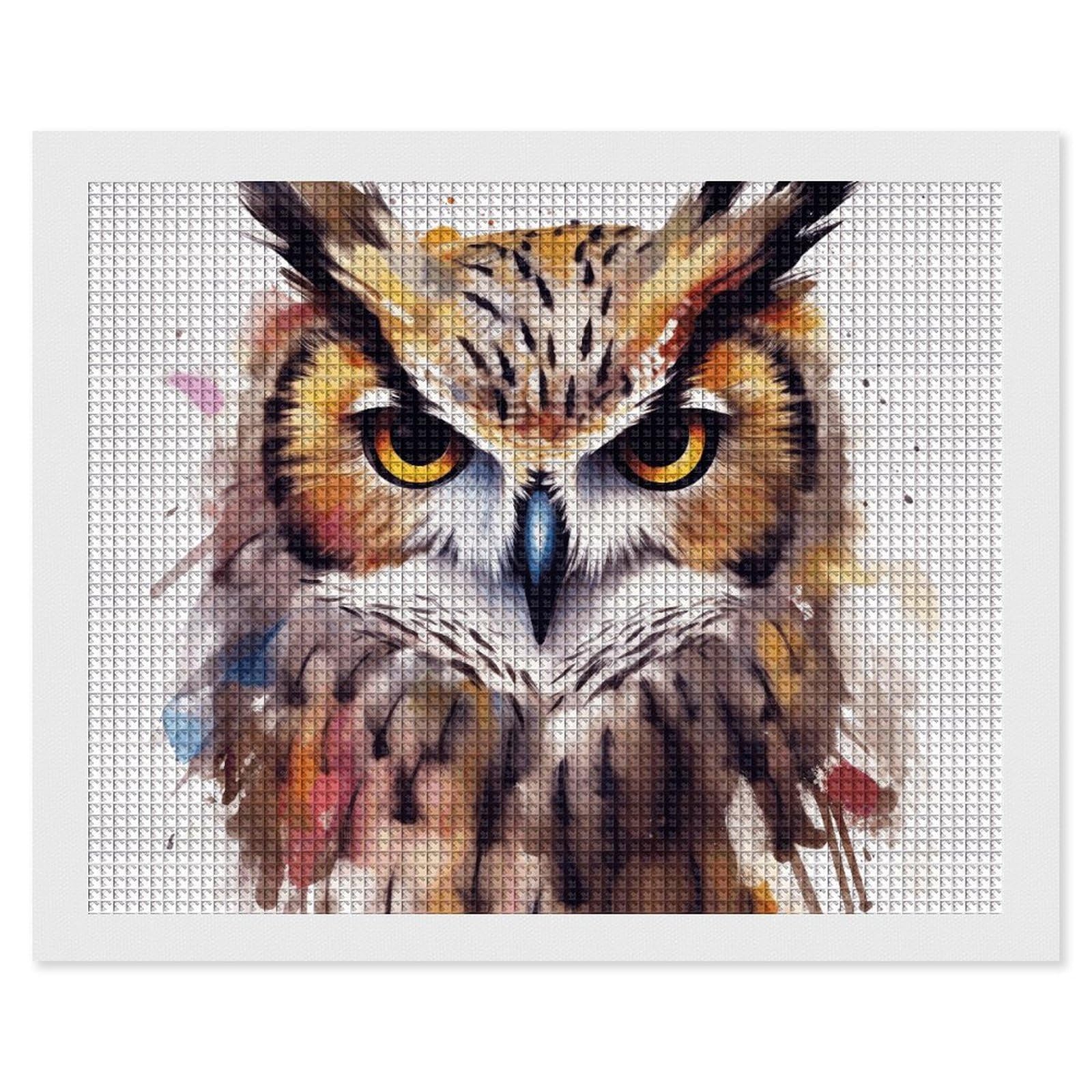Diamond Painting Kits for Adults - DIY Diamond Art Kits for Beginners - Full 5D Paint Drill Diamond Dots Paintings- Watercolor Cool Owl Head Diamonds Pictures Gem Art And Craft Wall Decor 16"x20"