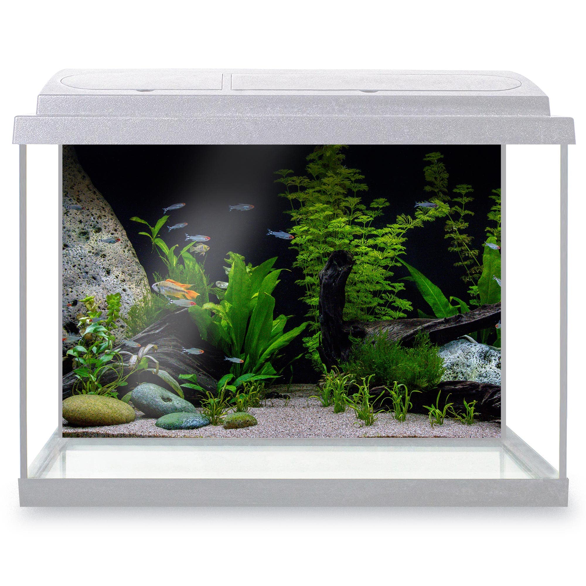 DV DESIGN Aquarium Fish Tank Background 62x42 cm - Beautiful Freshwater Plants Stones Marine Sea Blue Underworld Static Cling Vinyl Vivarium Terrarium External Application #500015 — image 1