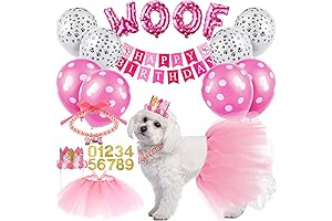 Adorable Dog Birthday Decorations Girl: Pink Tutu and Crown