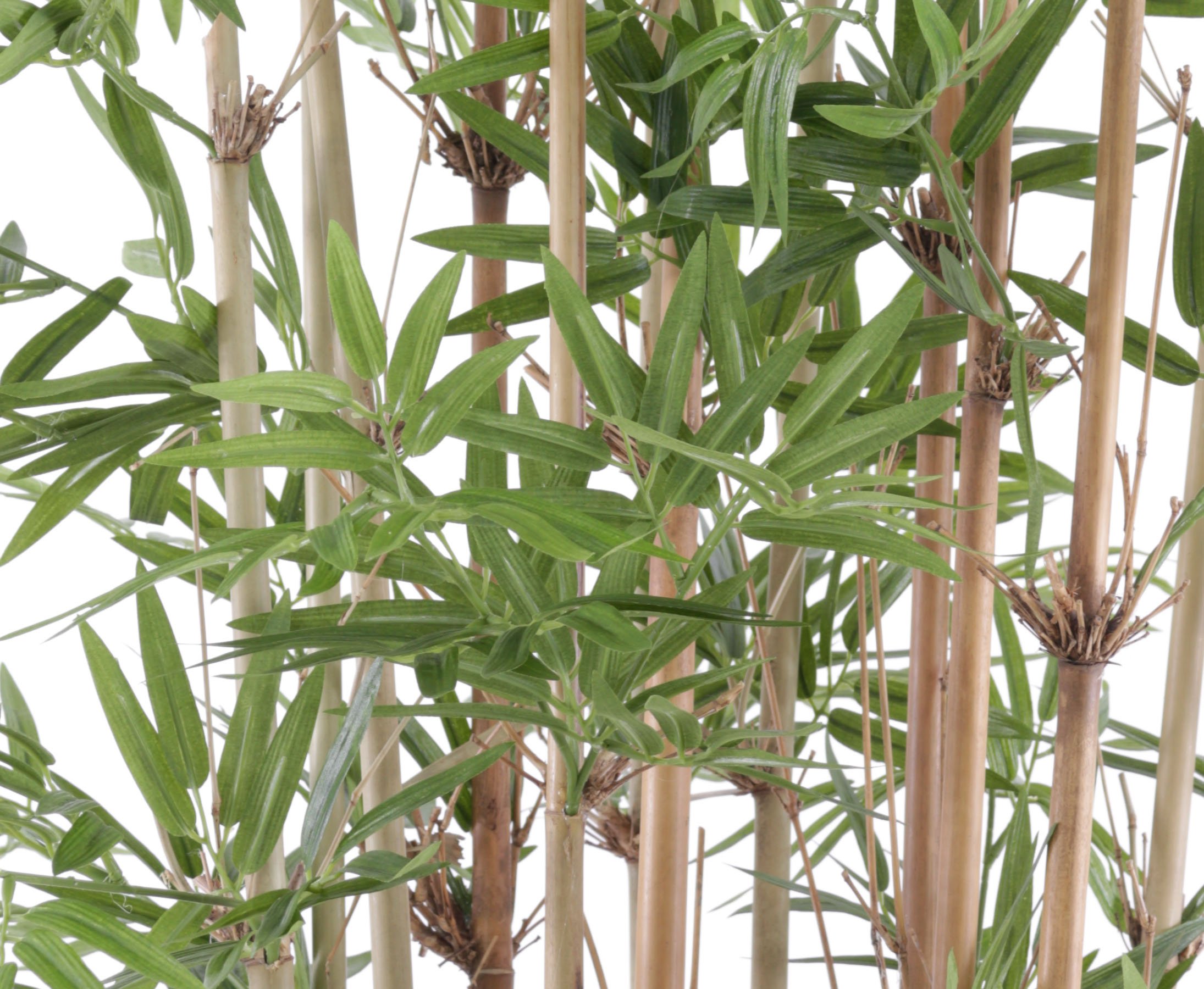 Royal Bamboe kunstplant 95cm | Maxifleur kunstplanten