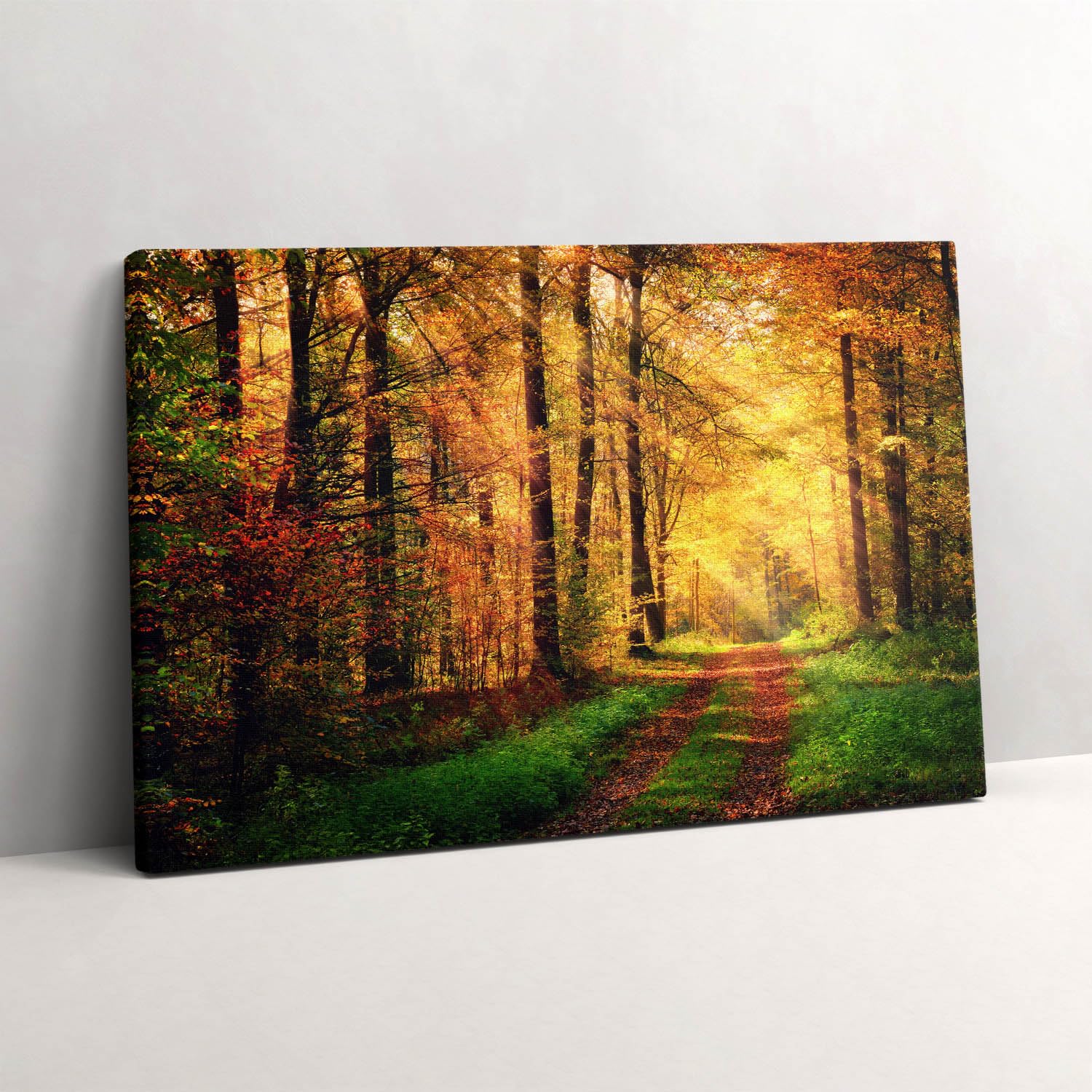 Tableaux 60x40cm paysage forestier d'automne Wallfluent d'art
