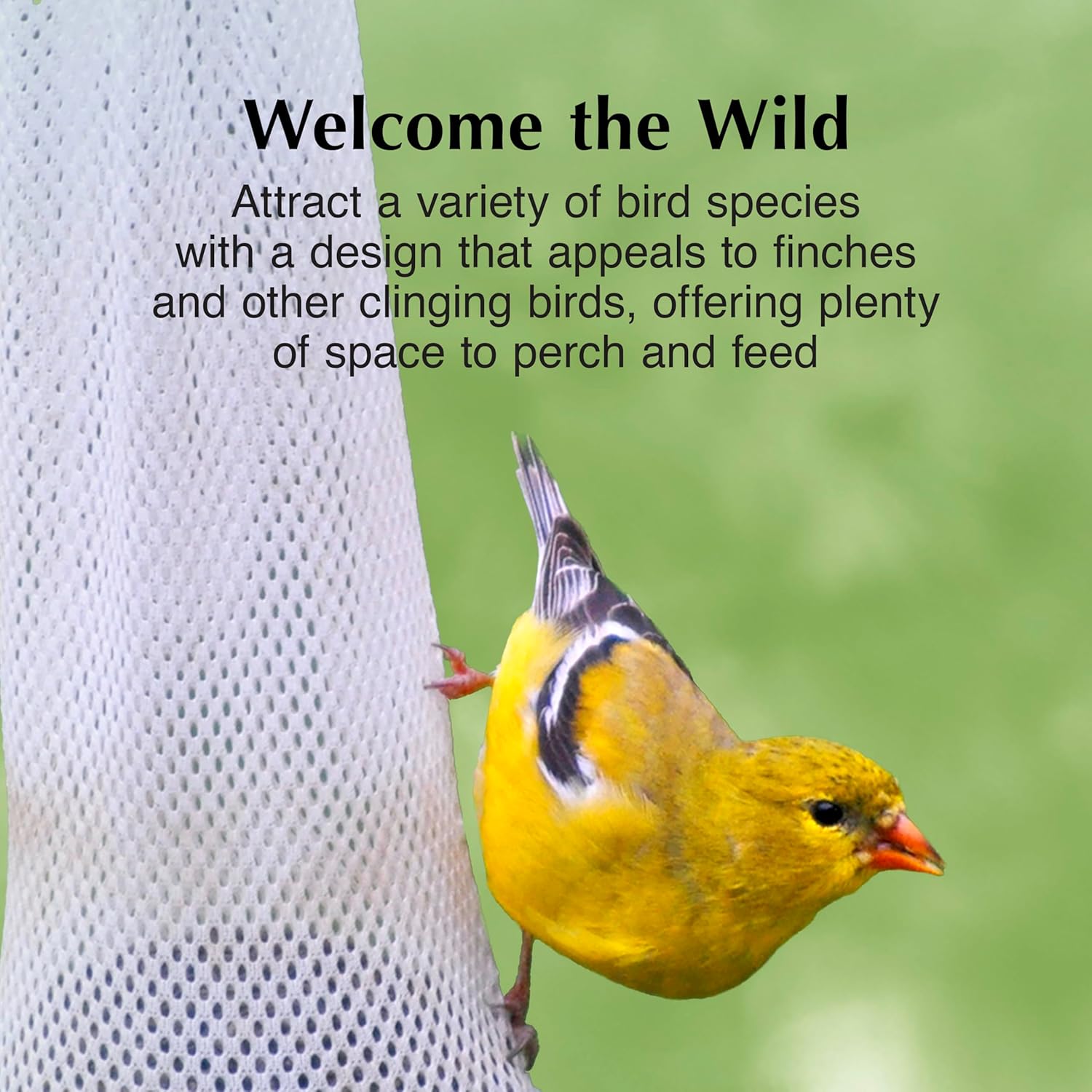 C&S Nyjer Sack, Thistle Seed Feeder for Wild Birds, 12 ounces, Pack of 8