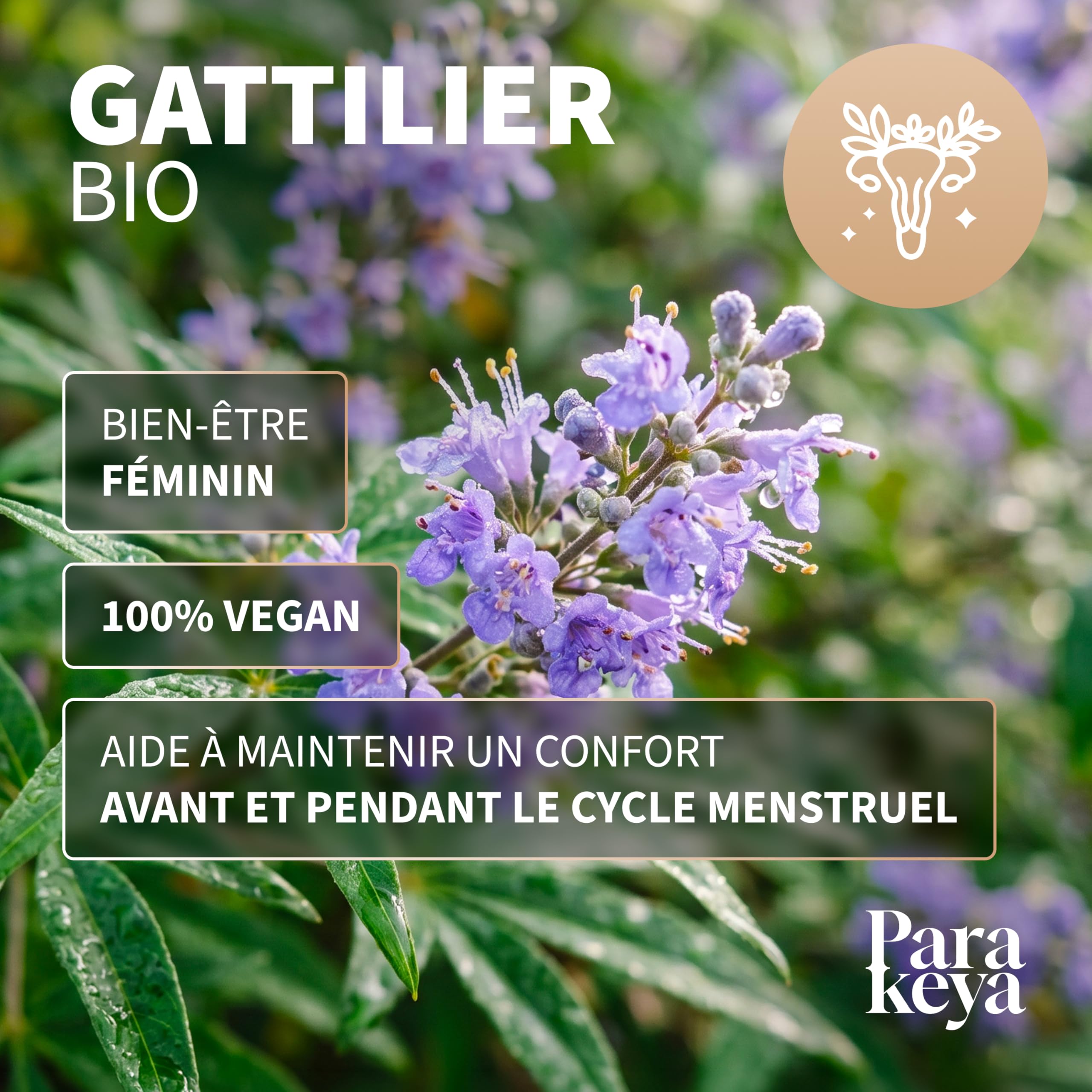 Gattilier Bio 250 mg - 60 gélules - Confort menstruel & équilibre au quotidien - Complément alimentaire