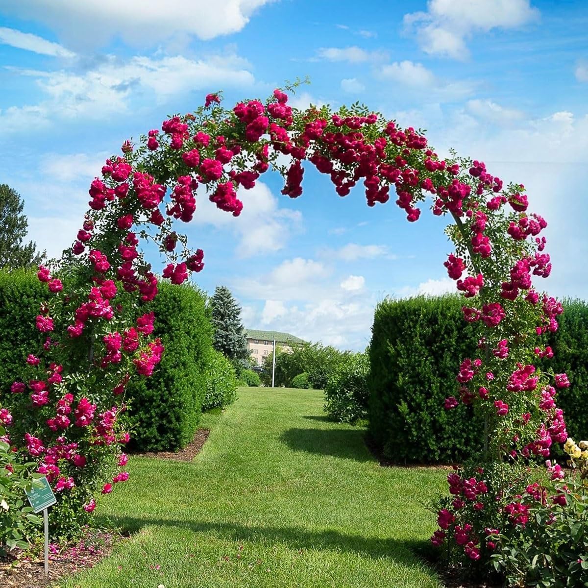 Rośliny pnące, altana ogrodowa, metalowa krata, łuk na róże, pogrubione dekoracje ślubne, łuk imprezowy z podstawą 140 x 180 x 40 cm (biały) - idealny do ogrodów i wydarzeń