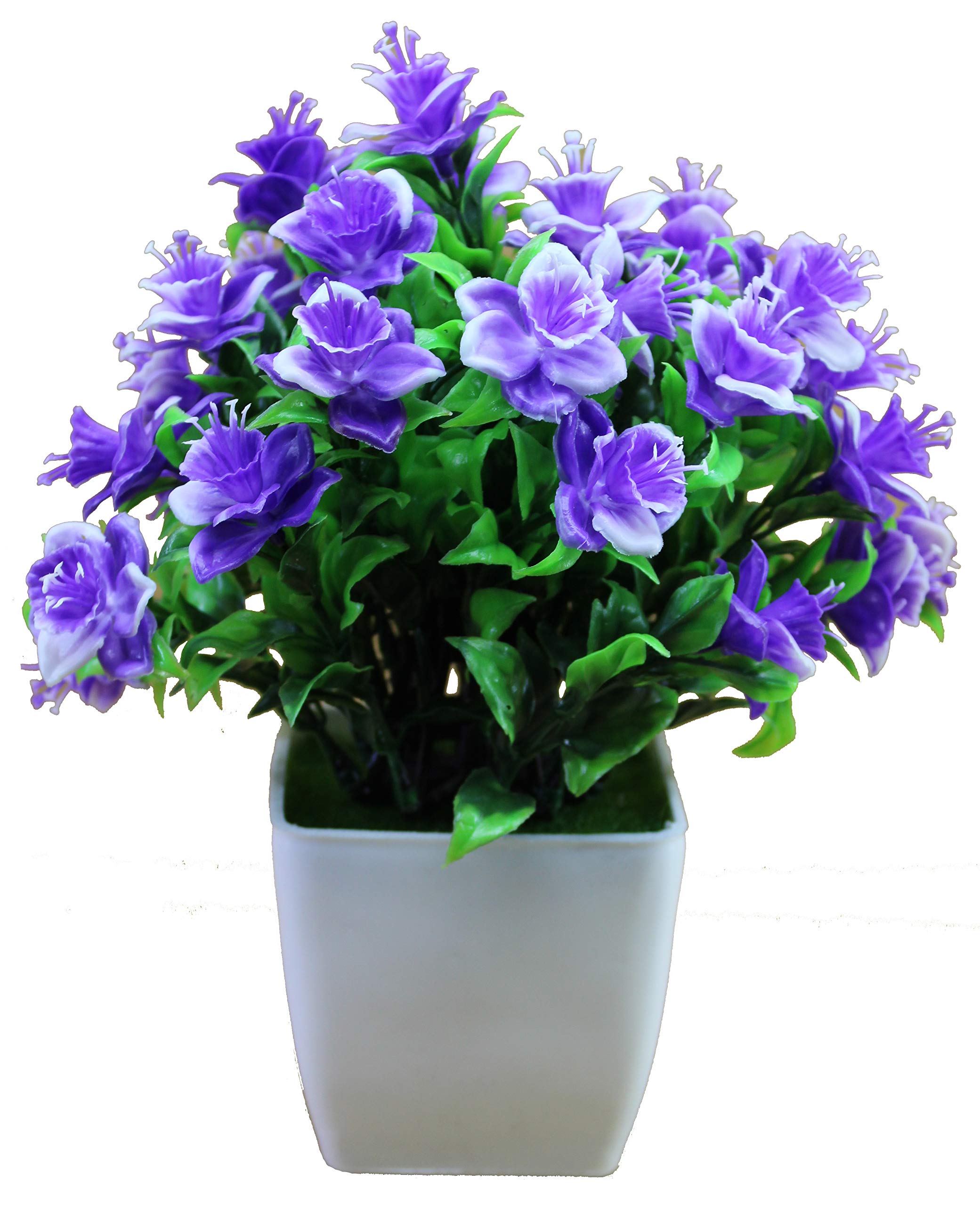 TFH Artificial Bonsai Plant With Plastic Pot (Multicolor Pack Of 1)
