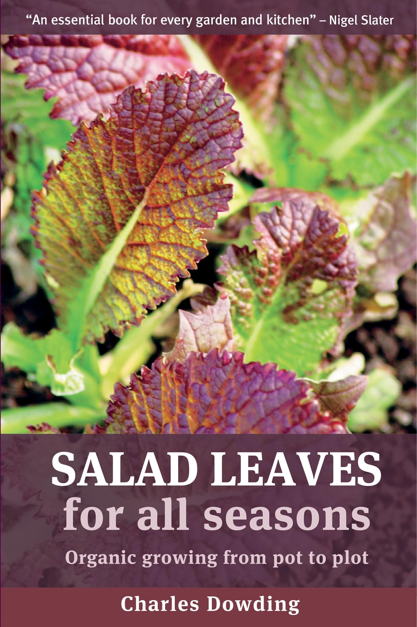 Buy Salad Leaves for All Seasons: Organic Growing from Pot to Plot — BookShops.in