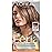 L\'Oreal Paris Feria Multi-Faceted Shimmering Permanent Hair Color, B61 Downtown Brown, Hair Dye Kit, Pack of 2