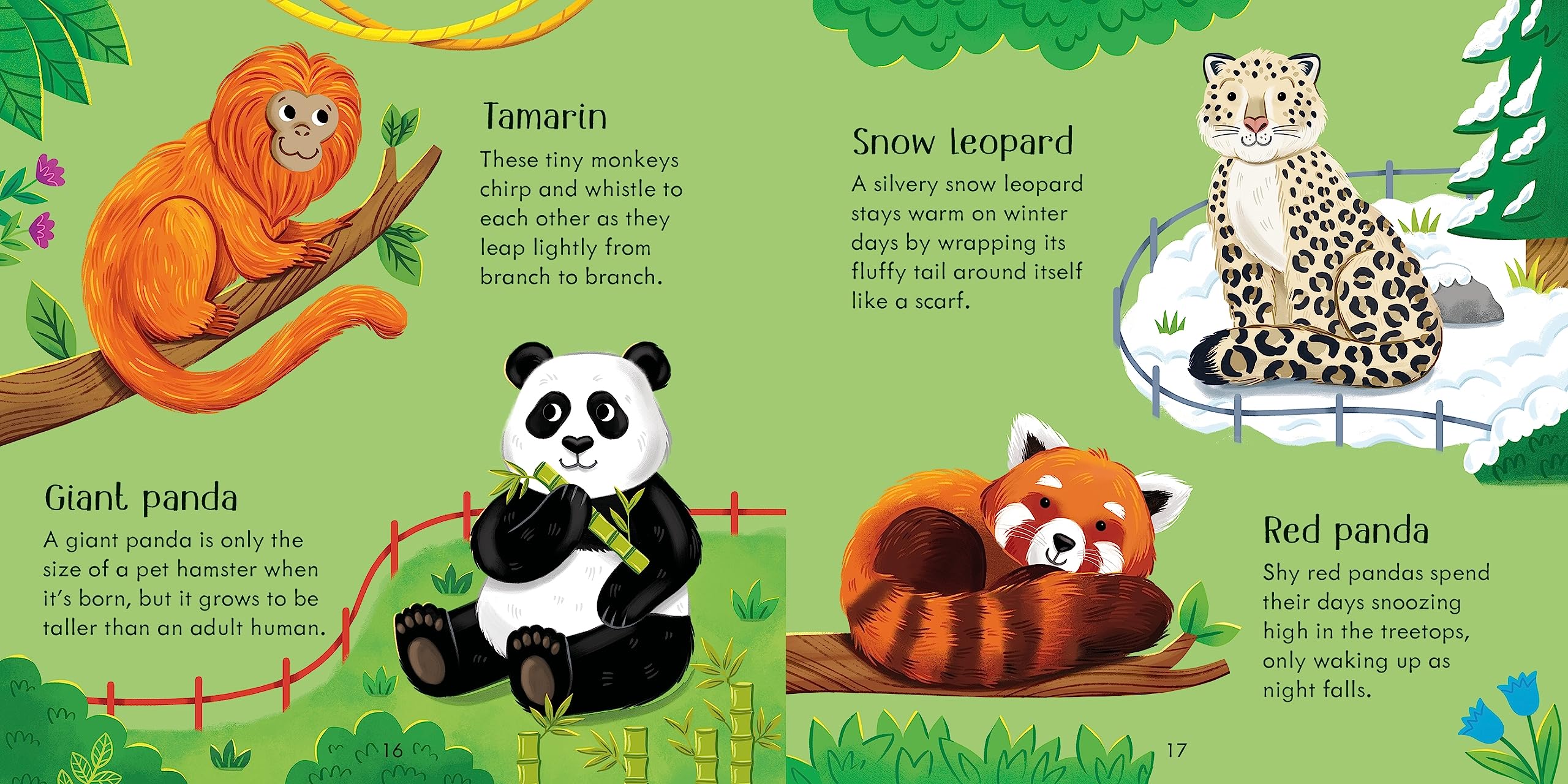 Zoo Matching Games