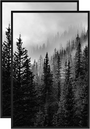 Vista 32 de MCS Master & Co. Foundry Gallery - Marco metálico de pared color negro, 16 x 24 pulgadas sin paspartú