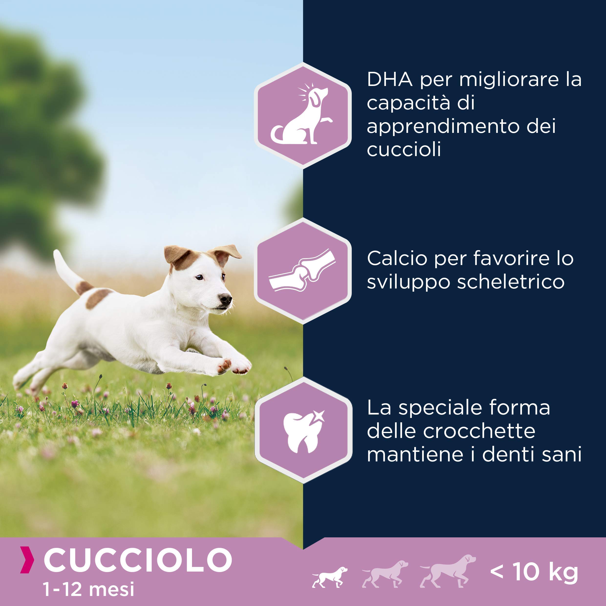 Eukanuba Cibo Secco per Cuccioli in Crescita, per Cani di Taglia Piccola, Ricco di Pollo Fresco, 3 kg