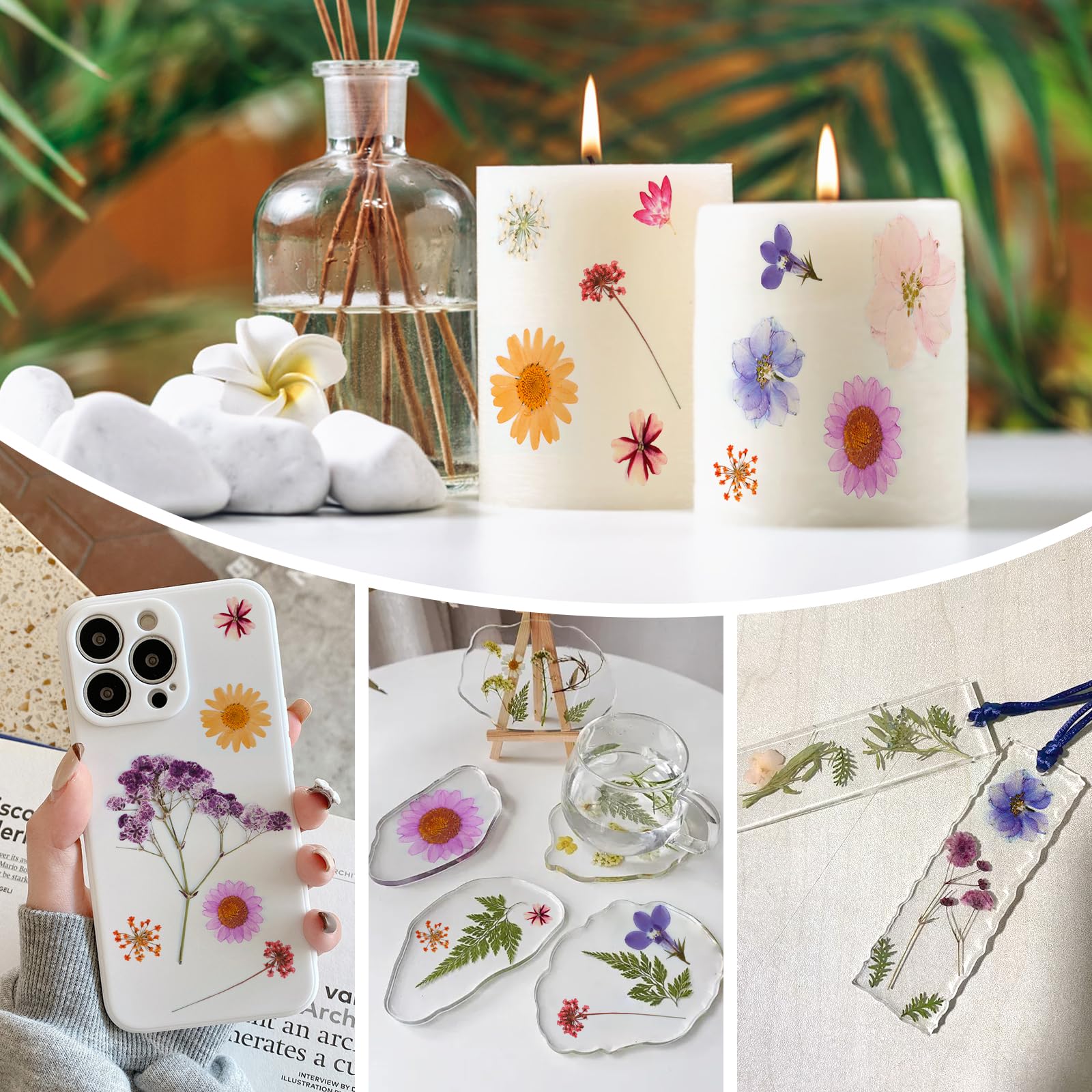 MXTIMWAN Fiori Secchi Decorativi 66 Pz, Fiori Pressati Naturali per Candele, Resina, Scrapbooking