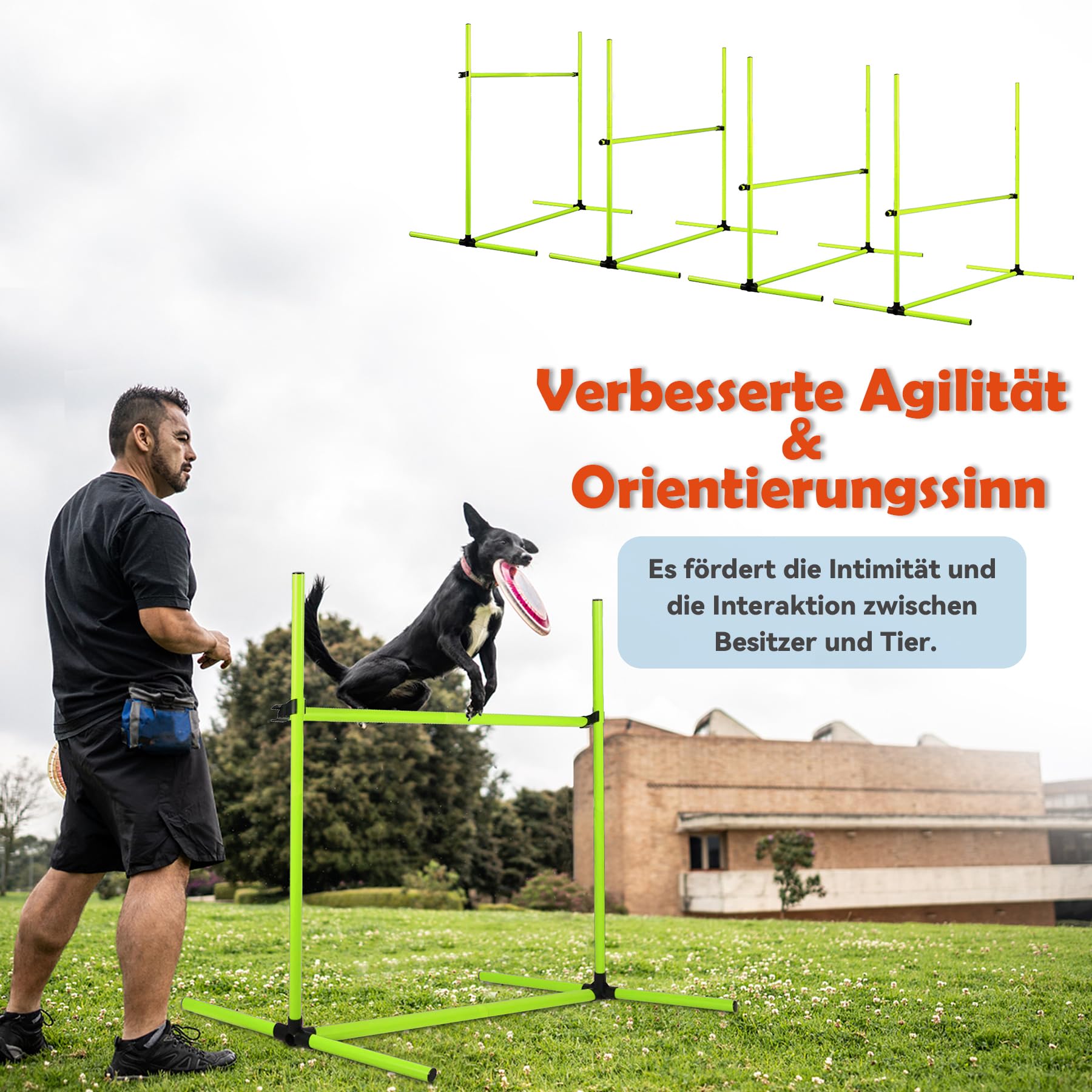 Agility Set Hunde Ausrüstungs 4 x Hürden Höhenverstellbar, Agility Hürdenset Slalomstangen mit Tragetasche, Haustier Agility Trainingsgeräten Hunde Training Set, 104 x 70 x 101 cm, Grün