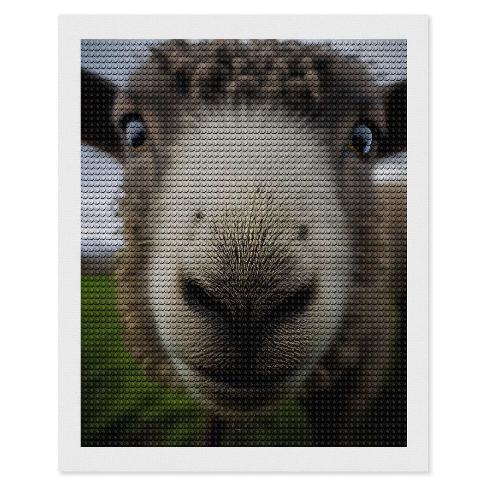 Junmoney Sheep with A Big Nose Diamond Art Canvas 16"x20", for Adults, Pleasing Wall Art Project, Modern Decor, Gift Idea, Nice Detail and Sparkle