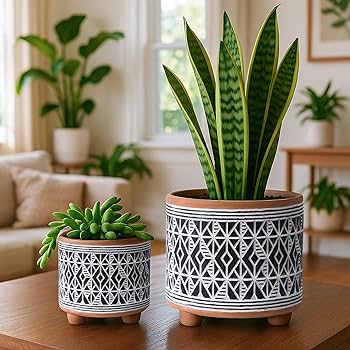 Amazon.com : D'vine Dev Set of 2 Terracotta Planter Pots, 4