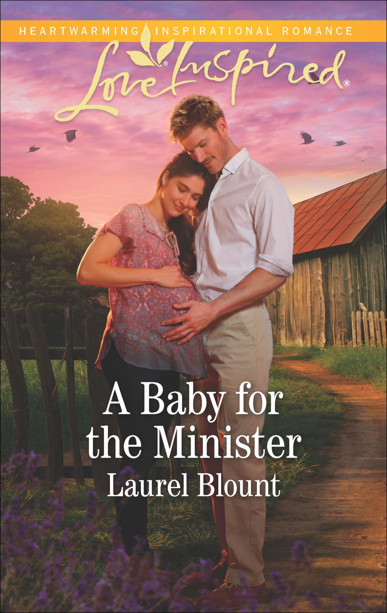 A Baby for the Minister (Love Inspired Book 2)