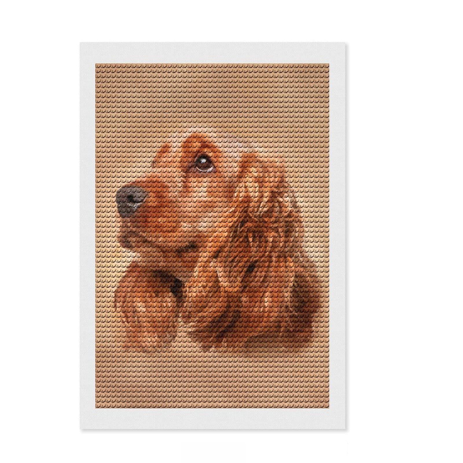 Junmoney English Cocker Spaniel Diamond Art Canvas 8"x12", Mindful Craft Activity, Easy to Enjoy, Cosy Home Accent, Birthday Gift, Simple to Start