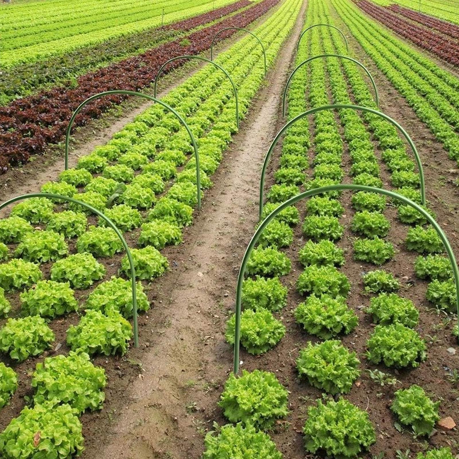 para Parterres Elevados Túneles De Cultivo para Huertos | 10 Piezas Soportes para Cuidado de Plantas Germinación Protección contra Heladas Interior Exterior Endurecimiento de