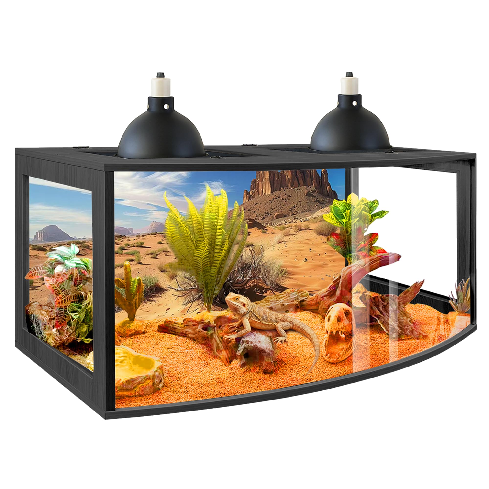 PROLEE Bearded Dragon Tank (40', 60 Gallons)