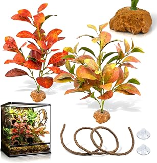 3PC Reptile Terrarium Habitat Decor Kit – Realistic Artificial Reptile Plants with Hanging Vine, Resin Stone Base – Tropical Vivarium Tank Decor for Crested Gecko, Lizard & Snake Habitat (Peperomia)