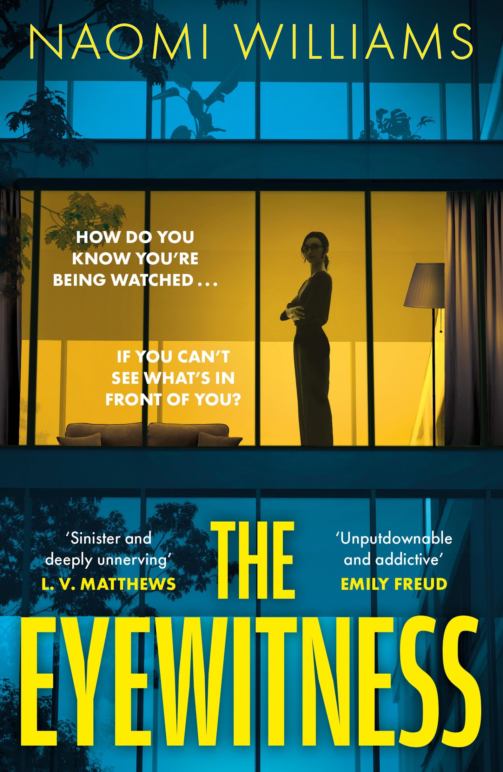 The Eyewitness by Naomi Williams Paperback
