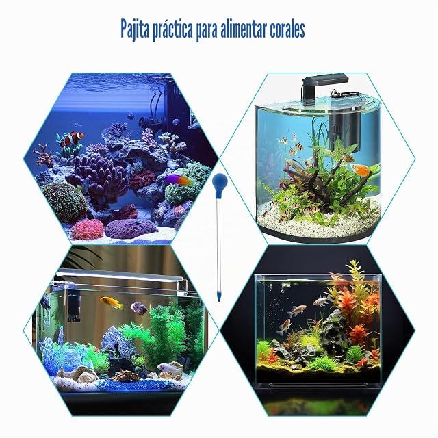 Foto 7 de 7 de JOYOLA Alimentador de Coral, 2 Piezas Tubos de Alimentación de Coral 30cm Tubos de Alimentación de Arrecifes…