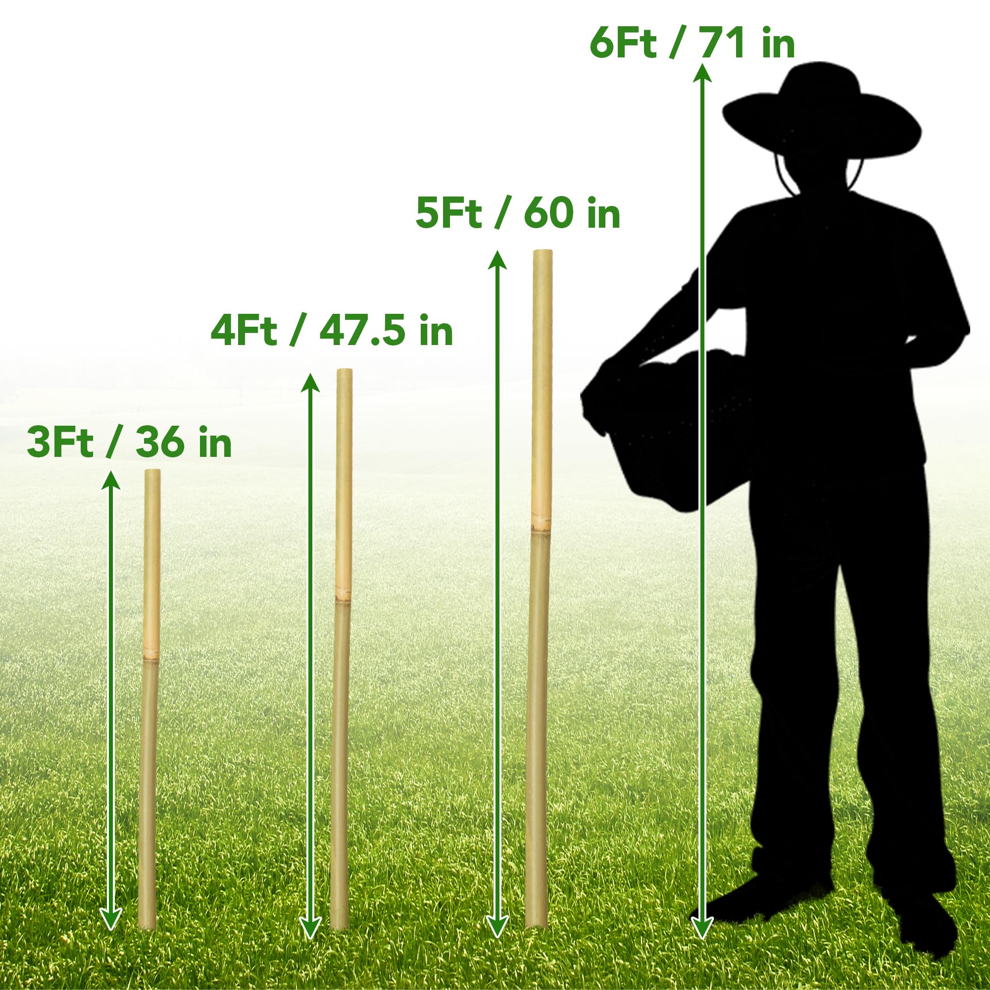 60Pcs Bamboo Stakes for Plant 5 Feet(57.5 inch), Garden Bamboo Plant Stakes for Plants Support, Climbing Plants, Tomatoes, Sunflowers, Beans, Potted Plants, Trees: 4ft-60 Pcs