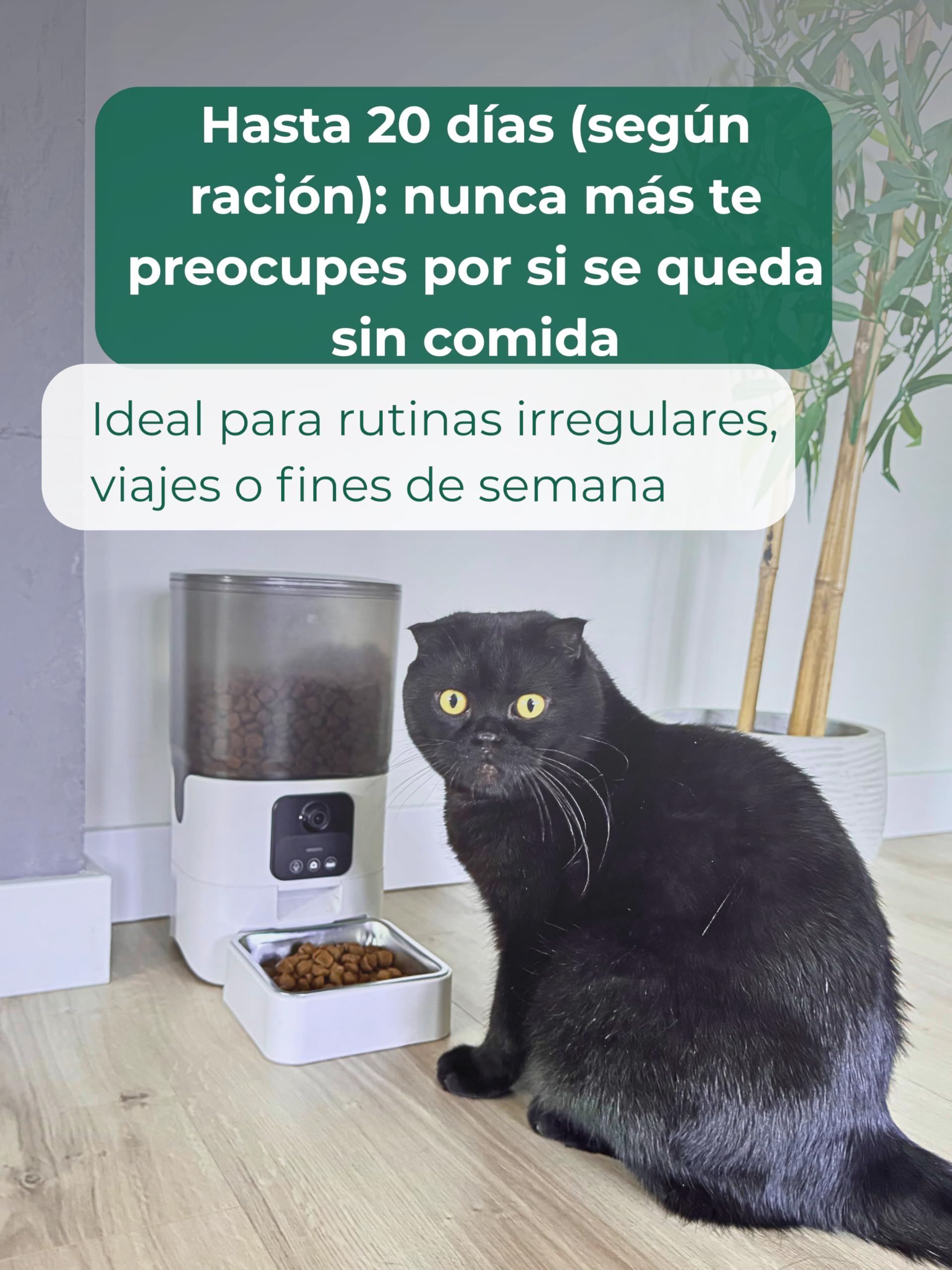 Comedero Automático con Cámara | Alimenta y Observa a tu Mascota Desde el Móvil | Control y Tranquilidad