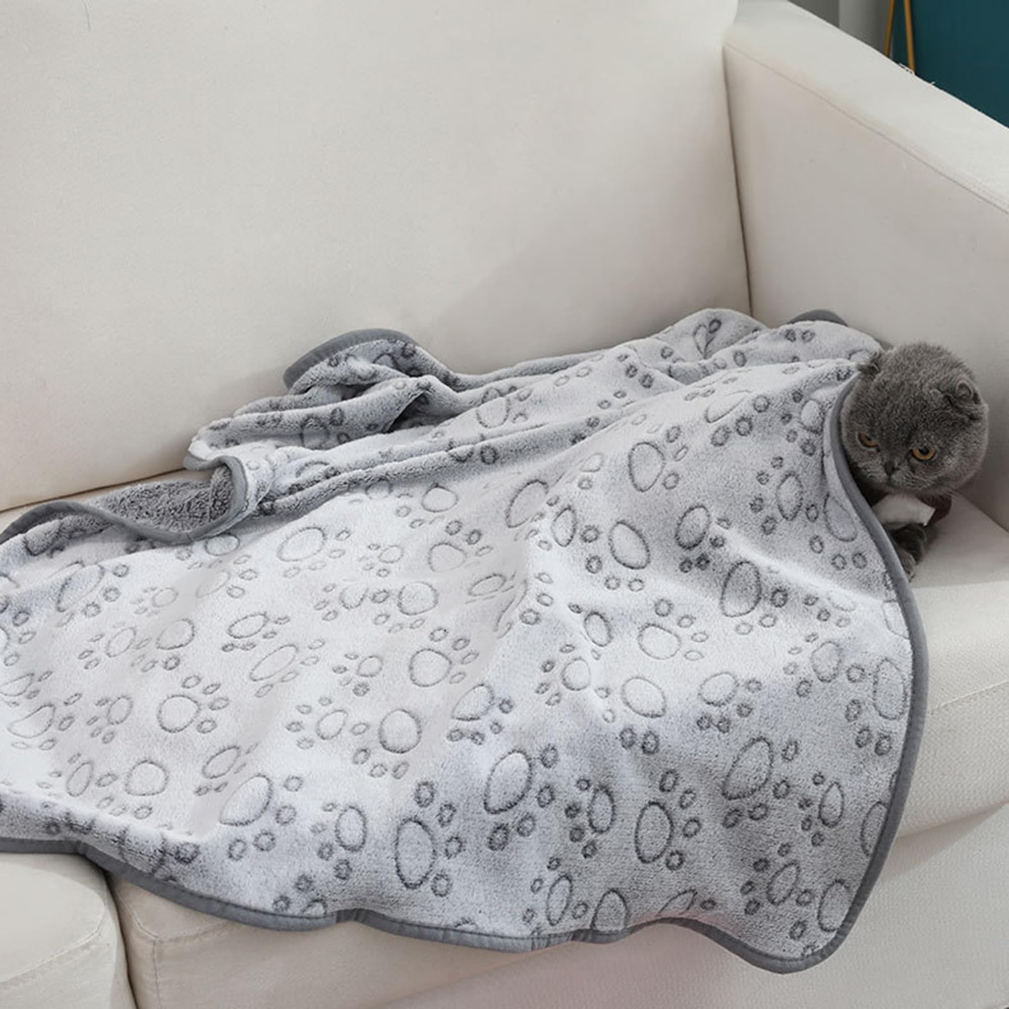 Confezione da 2 coperte per animali domestici di grandi dimensioni, con stampa di zampe, morbida coperta calmante per cani e gatti, calda coperta per dormire, divano, letto, divano (200 x 160