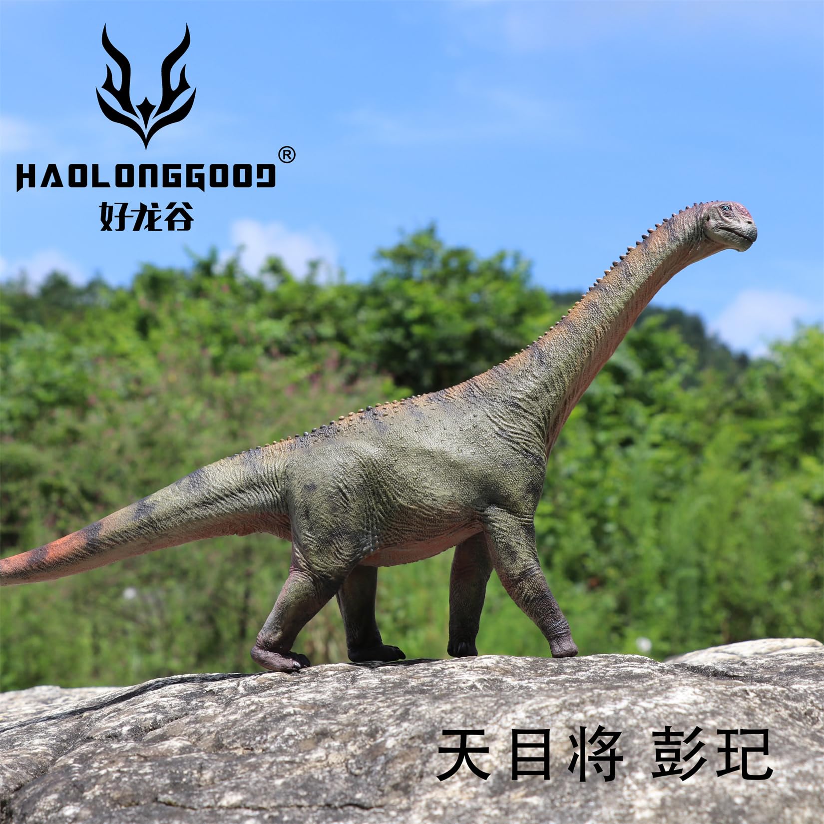 Amazon | BACALYSO | HAOLONGGOOD 1/35 サイズ カマラサウルス 45cm級