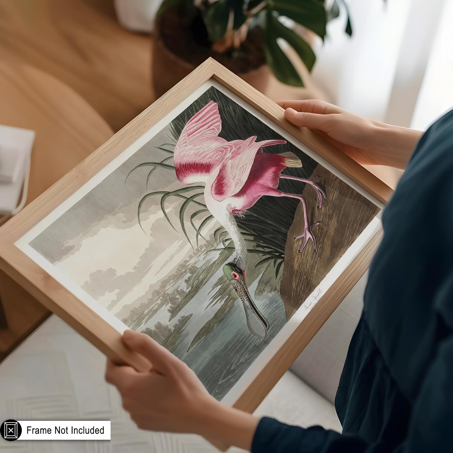 Poster Master Vintage James Audubon Poster - Retro Roseate Spoonbill Print - Birds of America Art - Gift for Him, Her & Animal Lover - Decor for Dorm, Living Room or Bedroom - 16x20 UNFRAMED Wall Art