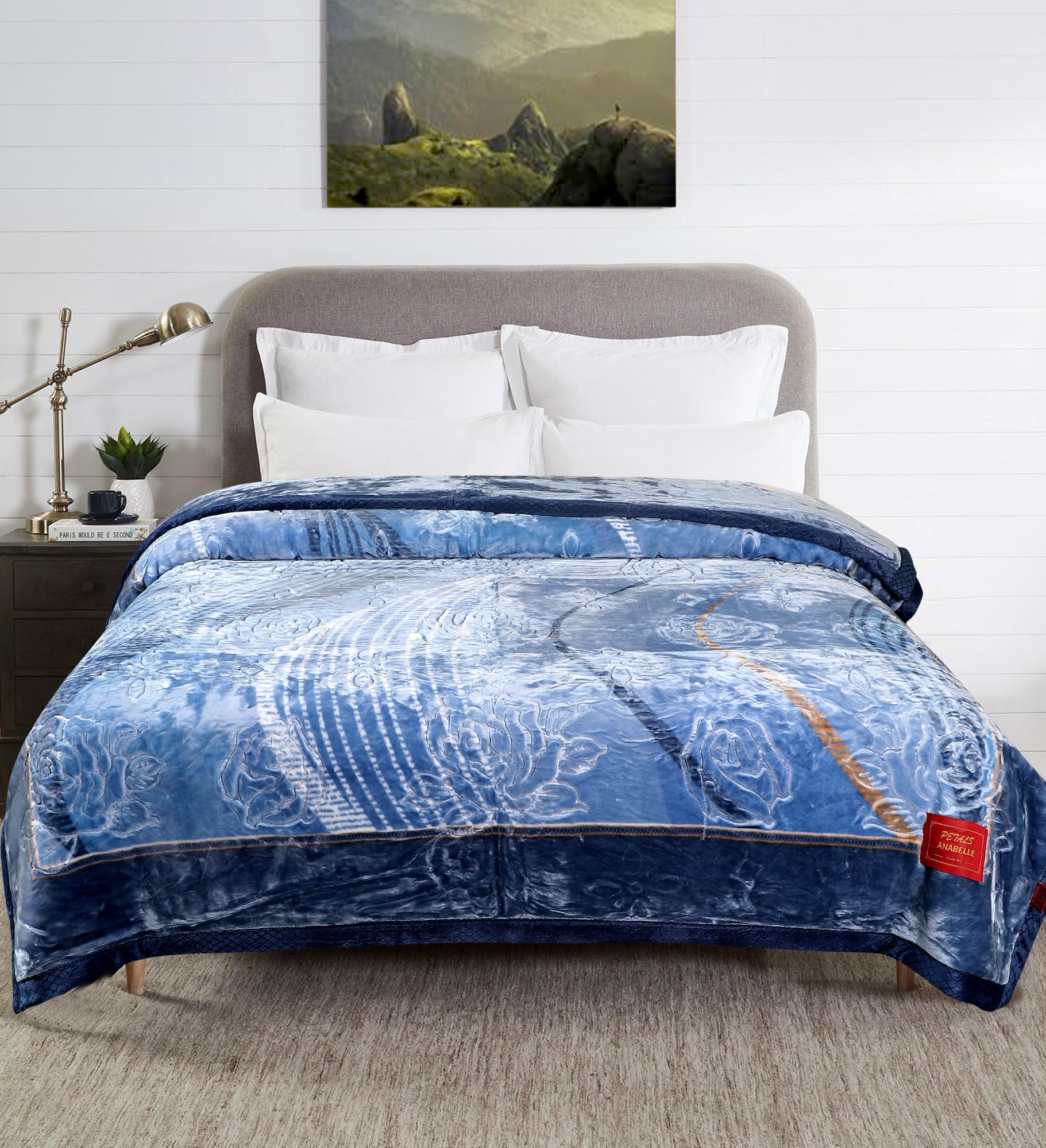 Petals Dreams Blanket Double Bed for Moderate Winter, 800 GSM, 2 Ply, Cloudy Mink Blanket (210x240 cm) (Iceberg) (B0CQ8FN4HG) Amazon Price History, Amazon Price Tracker